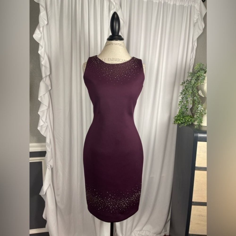 Calvin Klein Plum Sleeveless Formal Sheath Dress Size 6